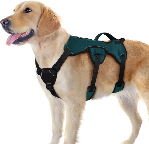 Vista 12 de rabbitgoo - Arnés para perros a prueba de fugas, arnés para mascotas acolchado y suave de cuerpo completo, arnés reflectante ajustable sin tirones
