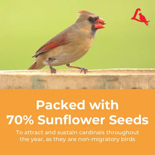 Vista 8 de Lyric Cardinal - Semillas de aves silvestres para comederos exteriores – Mezcla de semillas de girasol y cártamo prémium para cardenales, picos