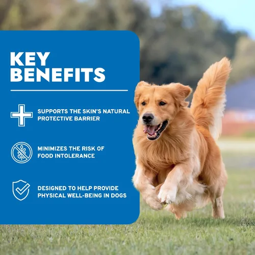 Vista 3 de Forza10 - Alimento para perros, alimento húmedo formulado por veterinarios para alergias, apoyo de la piel y el pelaje, sin OMG, sabor a cordero