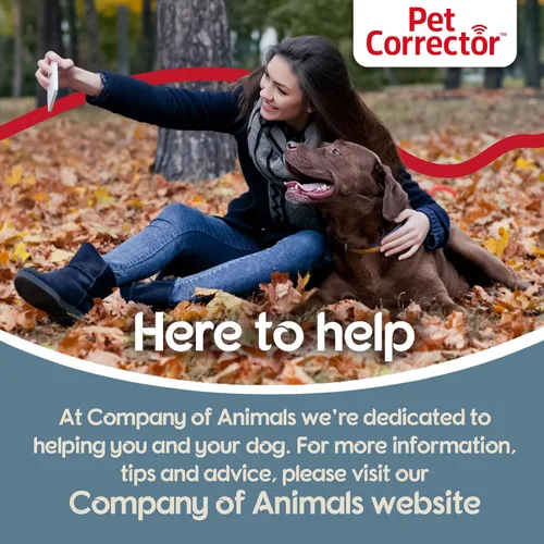 Vista 5 de Corrector para perros The Company of Animals (paquete de 4), 50ml