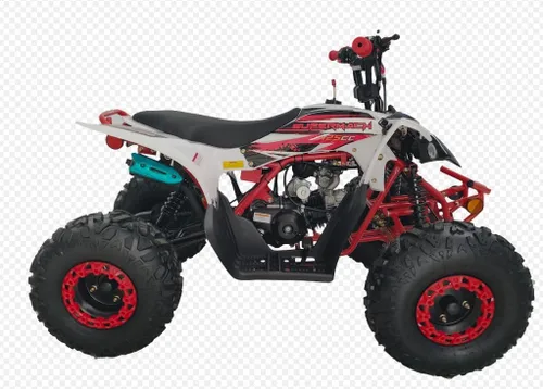 Vista 3 de HHH 125 cc ATV con transmisión totalmente automática para jóvenes, cuadriciclo deportivo de gasolina de cuatro ruedas con reversa y neumáticos Blanco