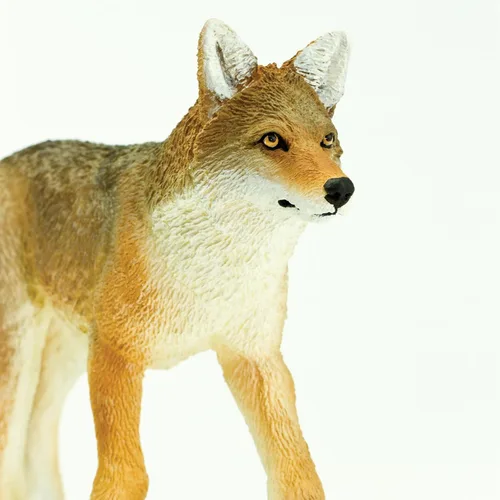 Vista 4 de Safari Ltd. Figura de juguete Coyote – Figura detallada de plástico de 6.5 pulgadas – Divertido juguete educativo para niños, niñas y niños a partir
