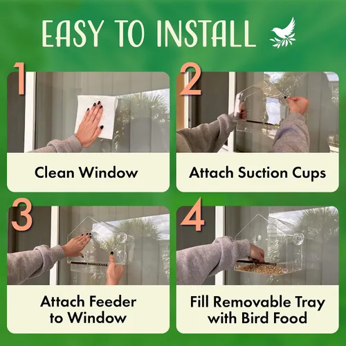 Vista 2 de Comedero para pájaros de ventana con ventosas fuertes, casa transparente