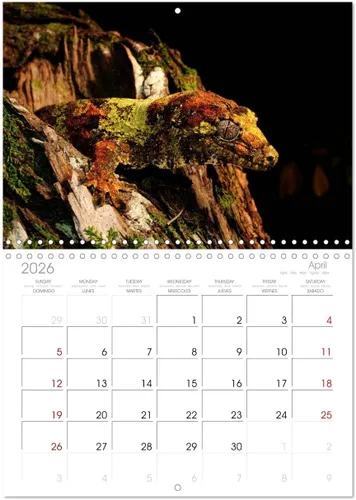 Vista 8 de REPTILES (calendario mensual de pared 2022 11.7 x 16.3 in (abierto)