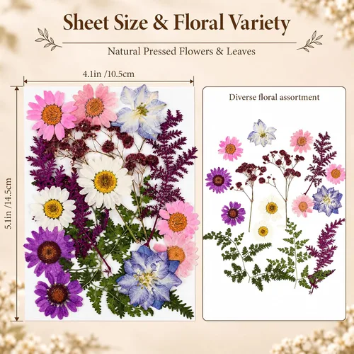 Vista 5 de 16 piezas de flores secas prensadas rosas y moradas para resina 16 piezas rosa y morado