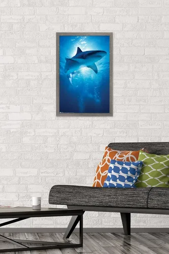Vista 2 de Trends International Póster de pared de tiburón, 14.6 x 22.4 in, versión enmarcada de madera de granero