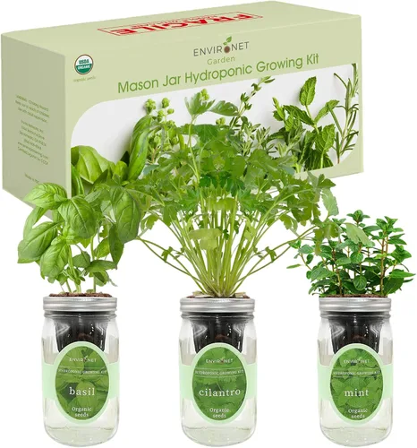 Vista 2 de Kit de cultivo de hierbas hidropónicas, tarro de masón de riego automático para jardín, kit de inicio de jardín de hierbas para interiores, jardín