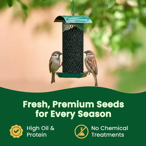 Vista 6 de Happy Wings Semillas de Girasol de Aceite Negro – Alimento para Aves Silvestres de 5 libras para Cardenales, Pinzones y Carboneros – Alimento