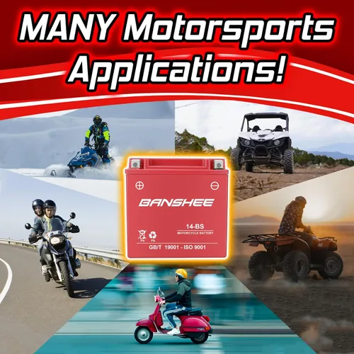 Vista 4 de Batería de motocicleta YTX14-BS para Piaggio BV Tourer 500 batería, 4 años de garantía