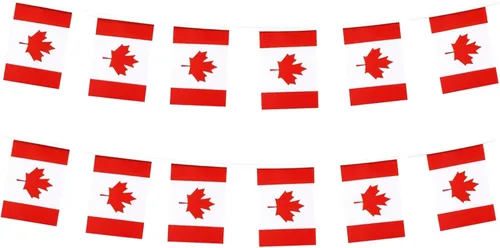 Vista 40 de Pequeña bandera estadounidense, mini bandera de Estados Unidos, decoración de banderines para desfiles, fiestas, aulas, jardines y festivales