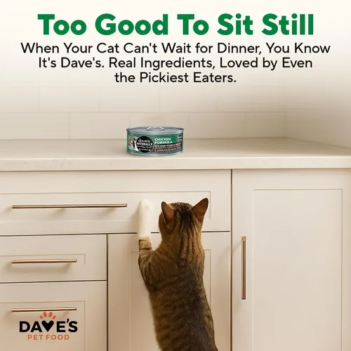 Vista 6 de Dave's Pet Food Alimento húmedo para gatos sin granos (fórmula de pollo), hecho en Estados Unidos, naturalmente saludable, alimentos enlatados