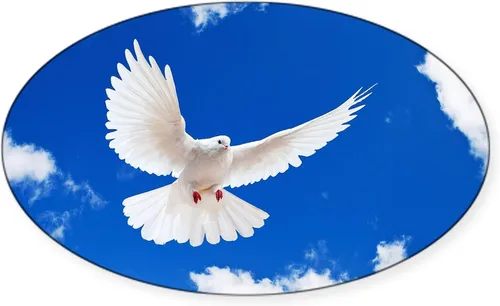 Vista 27 de CafePress Pegatina rectangular de espíritu santo para parachoques de coche ovalada Blanco - Pegatina Rectángulo Espíritu Santo