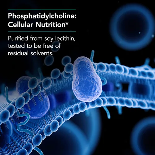 Vista 4 de NutriCology Fosfatidilcolina - 385 mg de lecitina de fosfatidilcolina - Soporte para el cerebro, el hígado y la membrana celular - Cápsulas de gel