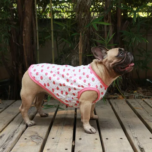 Vista 3 de iChoue Camisetas de dibujos animados de Halloween de 100 % algodón transpirable, ropa linda para perros medianos, chaleco, camisetas sin mangas