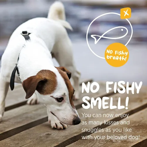 Vista 5 de maxxipaws maxxiomega - Suplemento de aceite Omega 3, 6 y 9, soporte de piel y pelaje para perros, 10 onzas