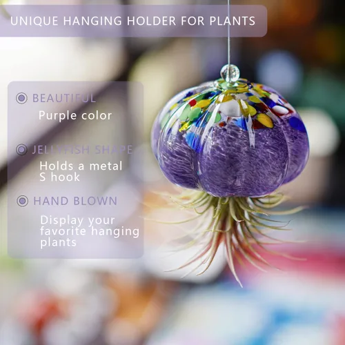 Vista 5 de H&D HYALINE & DORA Terrario de cristal soplado a mano colgante con diseño de medusa de aire para plantas de aire, decoración para jardín, porche