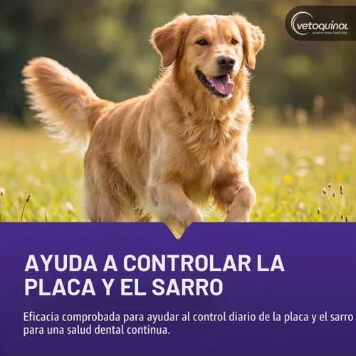 Vista 4 de Vetoquinol Dentahex - Enjuague de higiene bucal para mascotas, 8 onzas