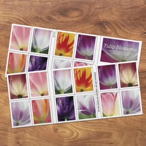 Vista 10 de USPS 2023 Tulip Blossom Forever - Sellos postales de primera clase (20 unidades)