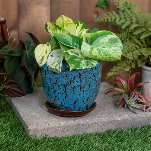 Vista 5 de Napco Maceta de cerámica esmaltada moteada marrón para plantas de interior con platillo, 4.5 pulgadas, verde azulado y negro