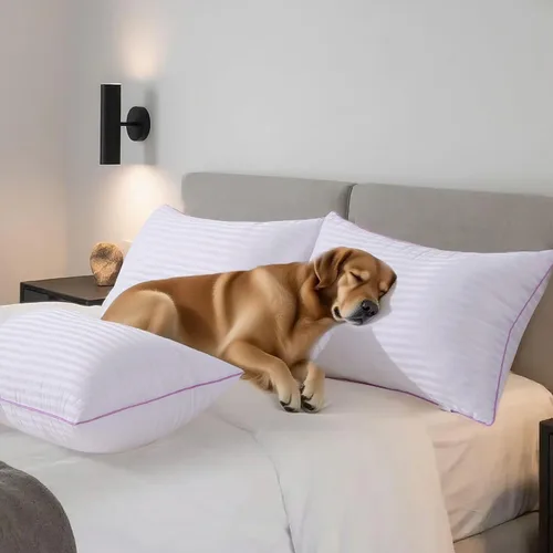 Vista 5 de VAINOC Juego de 2 almohadas de tamaño estándar, transpirables de la colección de hotel para dormir, relleno de microfibra alternativa de plumón