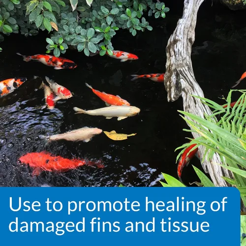 Vista 2 de API POND MELAFIX - Remedio para infecciones de peces de estanque, botella de 64 onzas, negro (176C)