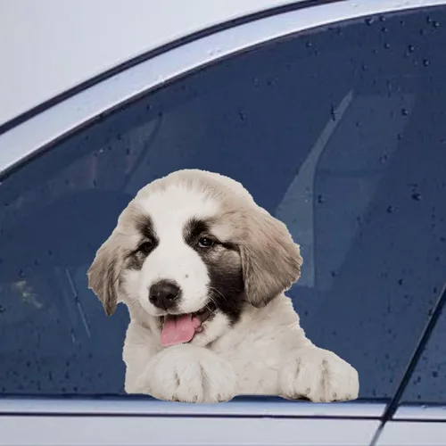 Vista 49 de Calcomanías de perro caniche, divertidas calcomanías de vinilo troqueladas para automóvil, laptop, parachoques Estilo-37
