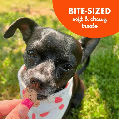 Vista 7 de Buddy Biscuits Bolsa de 8 onzas de golosinas suaves y masticables para perros, hechas con mantequilla de maní, 8 onzas