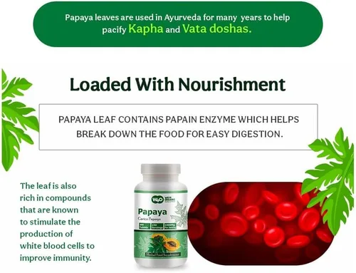 Vista 8 de Cápsulas de extracto de hoja de papaya (tabletas) - 300 píldoras, 150 porciones, 1000 mg, apoya la inmunidad plaquetaria y la digestión