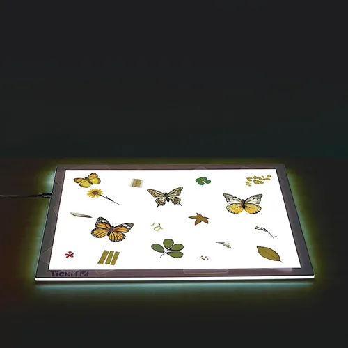 Vista 5 de Excellerations Juego de 28 especímenes laminados educativos para estudio de naturaleza STEM (artículo # estudio) For STEM Nature Study