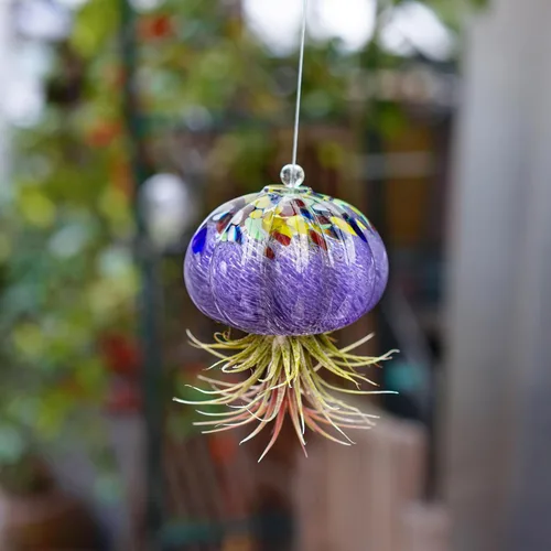 Vista 7 de H&D HYALINE & DORA Terrario de cristal soplado a mano colgante con diseño de medusa de aire para plantas de aire, decoración para jardín, porche
