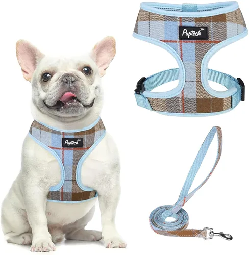 Vista 67 de PUPTECK Juego de arnés y correa de malla suave para perro, cachorro y gato, cómodo chaleco acolchado sin tirones, azul Pascua, S