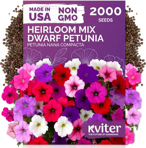 Vista 37 de KVITER 15,000 semillas de rosa musgo mixta para plantar (Portulaca grandiflora) – Cubierta de suelo con floración de reliquia, semilla de Portulaca