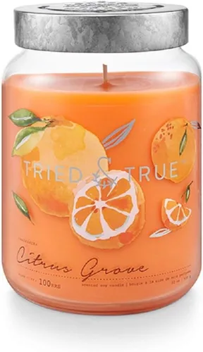 Vista 14 de Tried & True Citrus Grove Vela de 4.1 oz. Lata