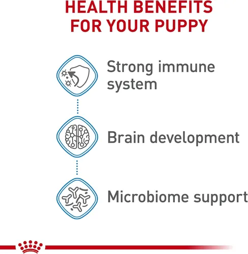 Vista 4 de Royal canin Tamaño Salud Nutrición Mini cachorro seco – Comida para Perro