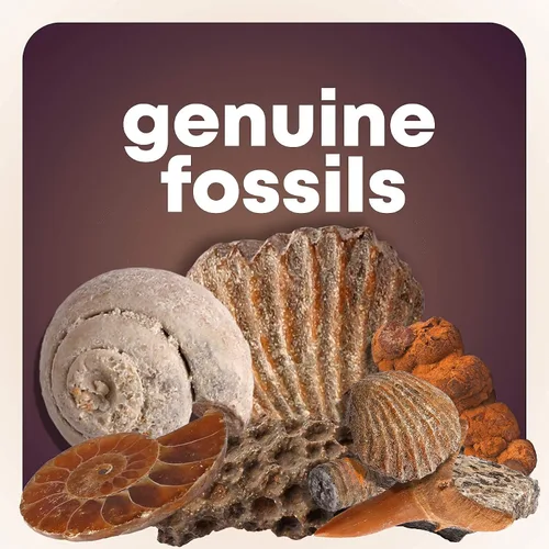 Vista 6 de Mega Rock, Fossil & Mineral Collection - Kit de actividades relacionadas con rocas, minerales y fósiles Incluye más de 250 ejemplares reales