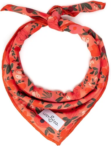 Vista 19 de Lucy & Co. Bandana con lazos de ballet, bandana duradera y cómoda para perro, lavable a máquina, accesorio de diseñador para cachorros, pequeños