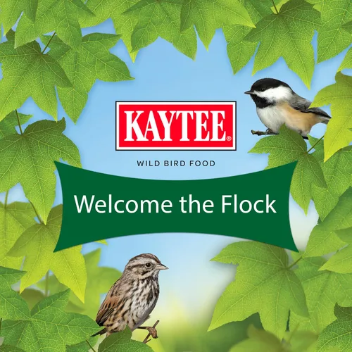 Vista 10 de Kaytee Wild Bird Food Basic Seed Blend, 5 lb