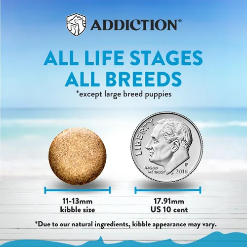 Vista 3 de Addiction Salmon Bleu - Alimento seco para perros sin granos, rico en prebióticos para apoyar la piel, el pelaje y la salud cognitiva, receta