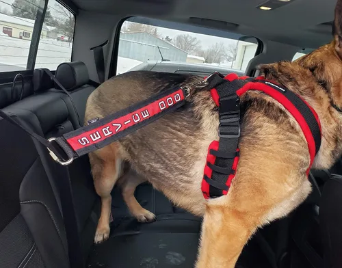 Vista 2 de ActiveDogs - Conector de cinturón de seguridad bordado de 15 pulgadas para perro, de alta visibilidad, dos tonos con correa de grado militar