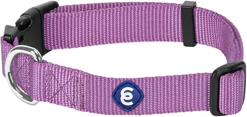 Vista 10 de Blueberry Pet Essentials - Collar clásico para perro, 21 colores, color gris pedernal, tamaño XS, cuello de 8 a 11 pulgadas, collares para perros