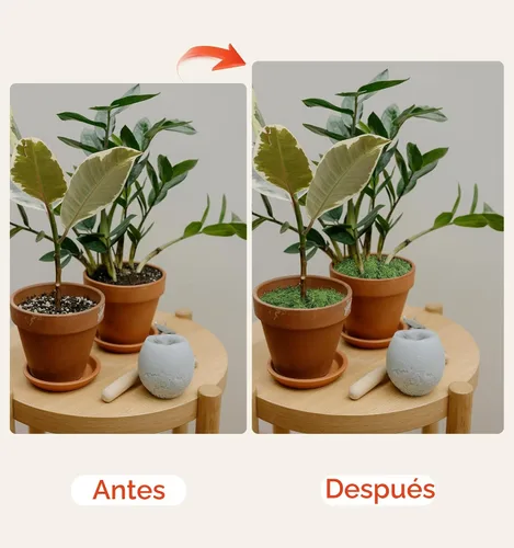 Vista 3 de Planta artificial de musgo artificial de musgo floral verde de 5.3 onzas para manualidades, manualidades de hadas, jarrón, florero, decoración de A