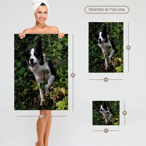 Vista 6 de Toalla 3D Rose Border Collie de 2 pulgadas, 15 x 22 pulgadas Blanco