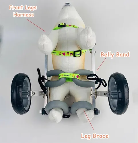 Vista 5 de Silla de ruedas para perro, 4 ruedas, soporte completo, ayuda ajustable para la movilidad de perros pequeños, carrito de asistencia para gatitos