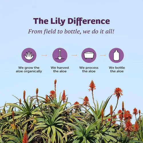 Vista 7 de Lily Of The Desert Fórmula estomacal, jugo orgánico de aloe vera con olmo resbaladizo, manzanilla, menta y jengibre para la salud intestinal
