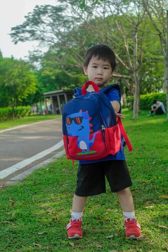 Vista 7 de POWOFUN Mochila de viaje preescolar para niños pequeños, rojo, (Dinosaur Red), S, Viajar