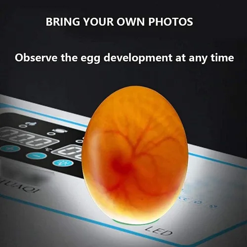 Vista 4 de Incubadora de huevos con capacidad para 120 huevos LED de giro automático de huevos y control de temperatura, ventilación automática, incubadoras