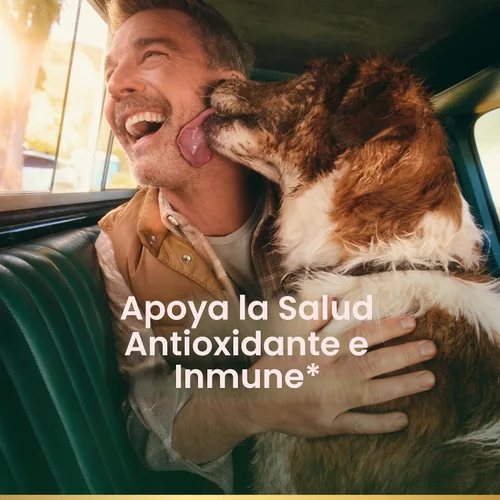 Vista 2 de Nature’s Bounty Vitamina C 1000mg, suplemento de apoyo inmune, poderoso antioxidante, 1 paquete, 100 cápsulas