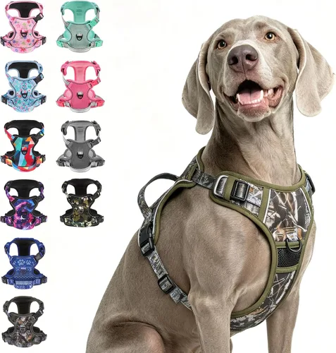 Vista 17 de BEAUTYZOO Juego de arnés y correa para perro sin tirones, chaleco para Verde militar