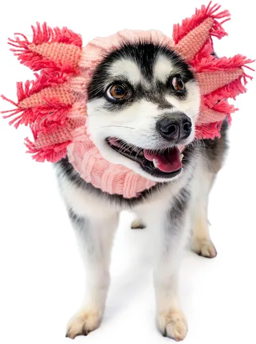 Vista 16 de Zoo Snoods Vestido de Jirafa - Redecilla tejida para perros con cubreorejas para mascotas, cubierta cálida para el cuello para Halloween e invierno