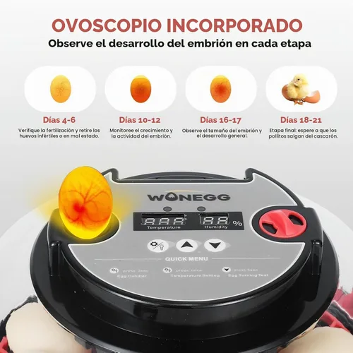 Vista 4 de Gen II - Incubadora automática de 12 huevos, humedad de dos etapas con recarga automática y control de temperatura estable, giro automático